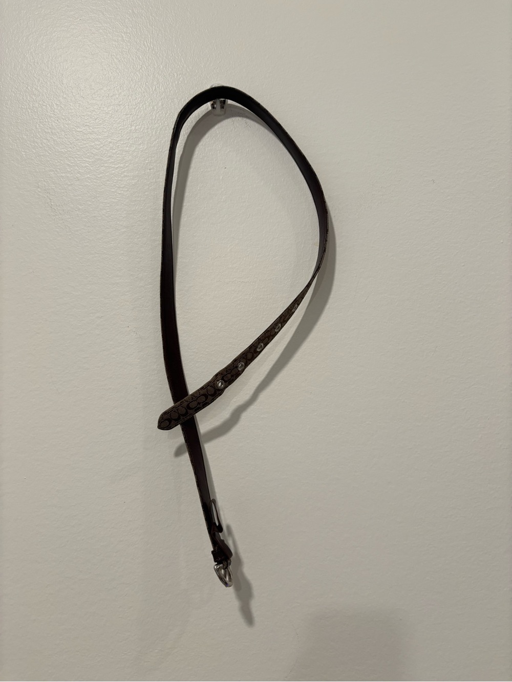 Women’s Coach Belt